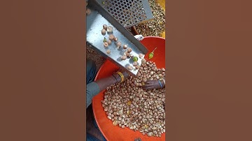 Arecanut machine | arecanut processing #supari #arecanut #agriculture
