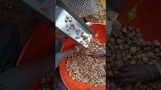 Arecanut machine | arecanut processing #supari #arecanut #agriculture screenshot 2