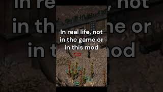 Cool Brace Supports #fallout #fallout2 #falloutnevada