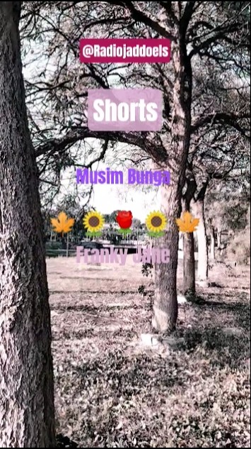 Musim Bunga - Franky Jane #shorts #lagu #nostalgia #tembang #kenangan @Radiojaddoels