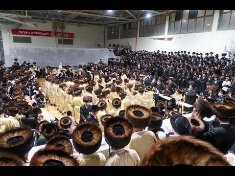 נכדי האדמו ר מתולדות אברהם יצחק שליט א בריקוד במצוה טאנץ בשמחת בית תוא י קרעטשניף כסלו תשפ ד 