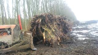 VID 20200212 142502