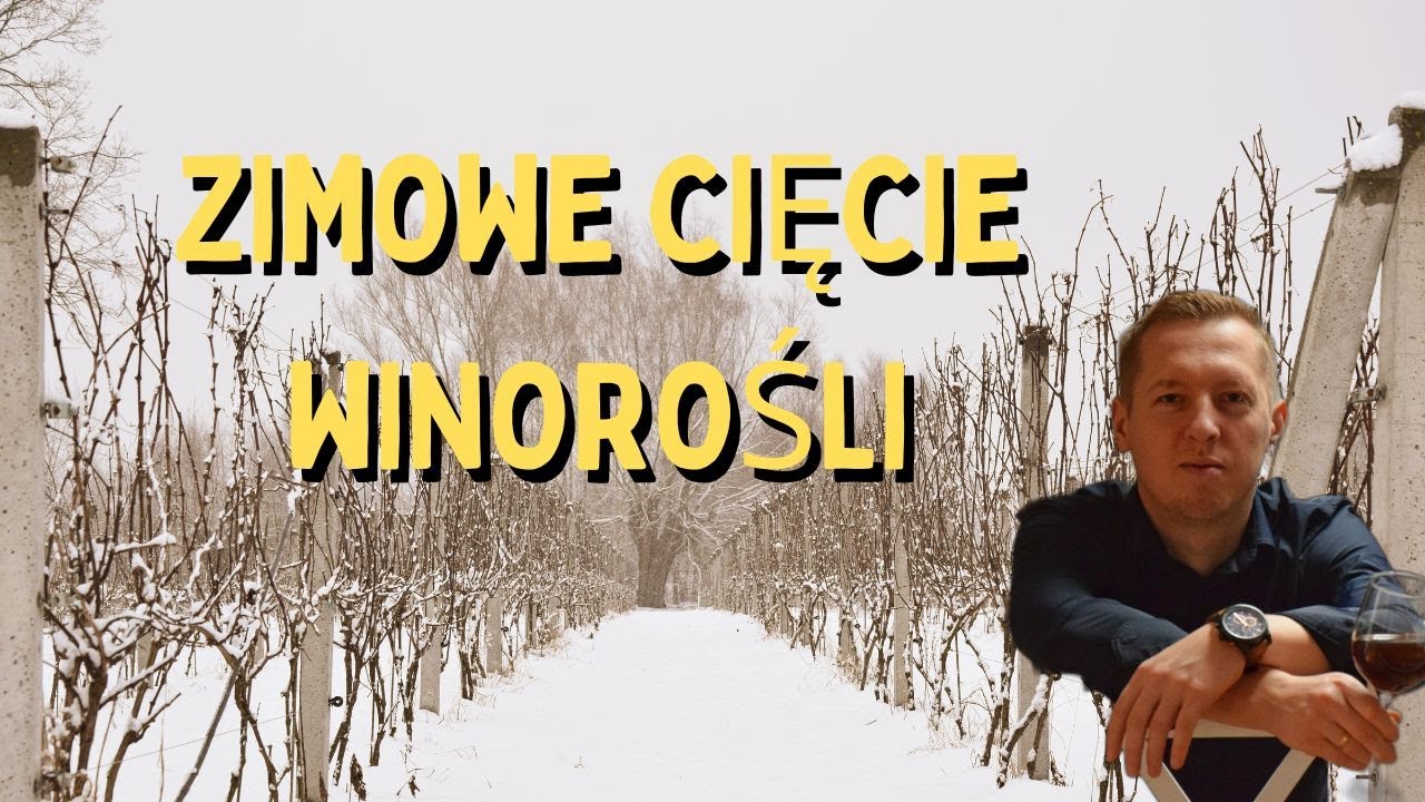 Zimowe cięcie winorośli