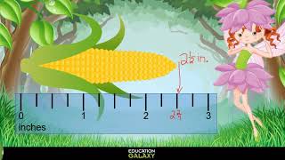 3rd Grade - Math - Length - Topic Overview