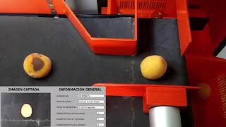 Control calidad de frutas por visión artificial / Artificial vision for fruit quality control