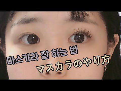 マスカラのやり方 / 마스카라 잘 하는 법