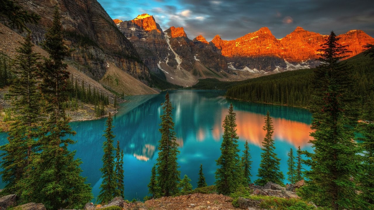 Relaxing Music. Relaxing Piano and Soft Rain - Healing Sleep Music for Insomnia and Deep Rest