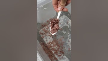 These pop rocks are explosive