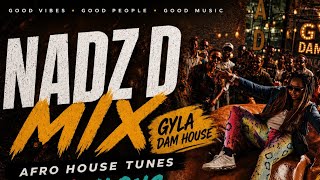 Download lagu Nadz-D Afro house mix/gyaldem Singalong/mandem beats 
