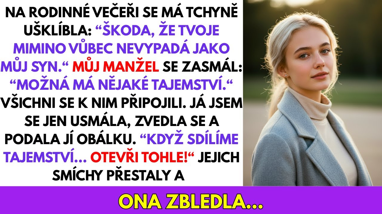 Má Tchyně Mě Obvinila Z NEVĚRY Na Narozeninách Mého Syna—Poté Jsem Odhalila Její Největší Tajemství.