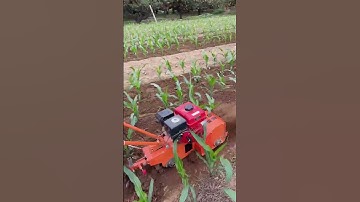 Mini Tiller Machine in Action | Powerful Farming Tool for Easy Soil Preparation part 795