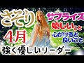 【さそり座2026年４月】🌈独自のやり方で先頭を行く🌟強く優しいリーダーになる🌈完成は近く🌟周囲との喜びを分かち合う時🌈