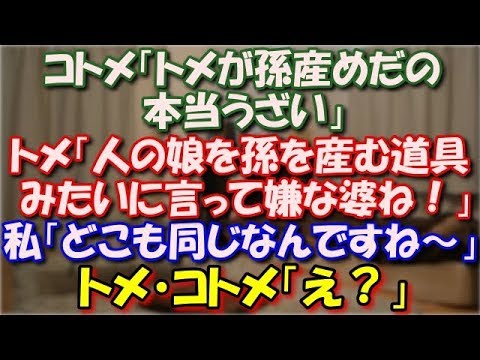 【スカッとする話】 コトメ「トメが孫産めだの本当うざい」トメ「人の娘を孫を産む道具みたいに言って嫌な婆ね！」私「どこも同じなんですね～」 トメ・コトメ「え？」  スカッと修羅場ラバンダ