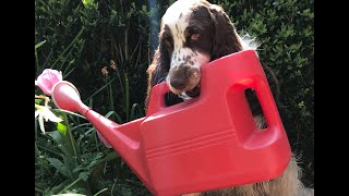 Bonnie the gardener