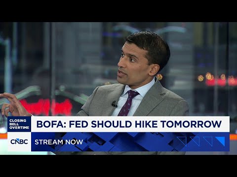 Bank of America's Bhave: Fed should hike rates Wednesday