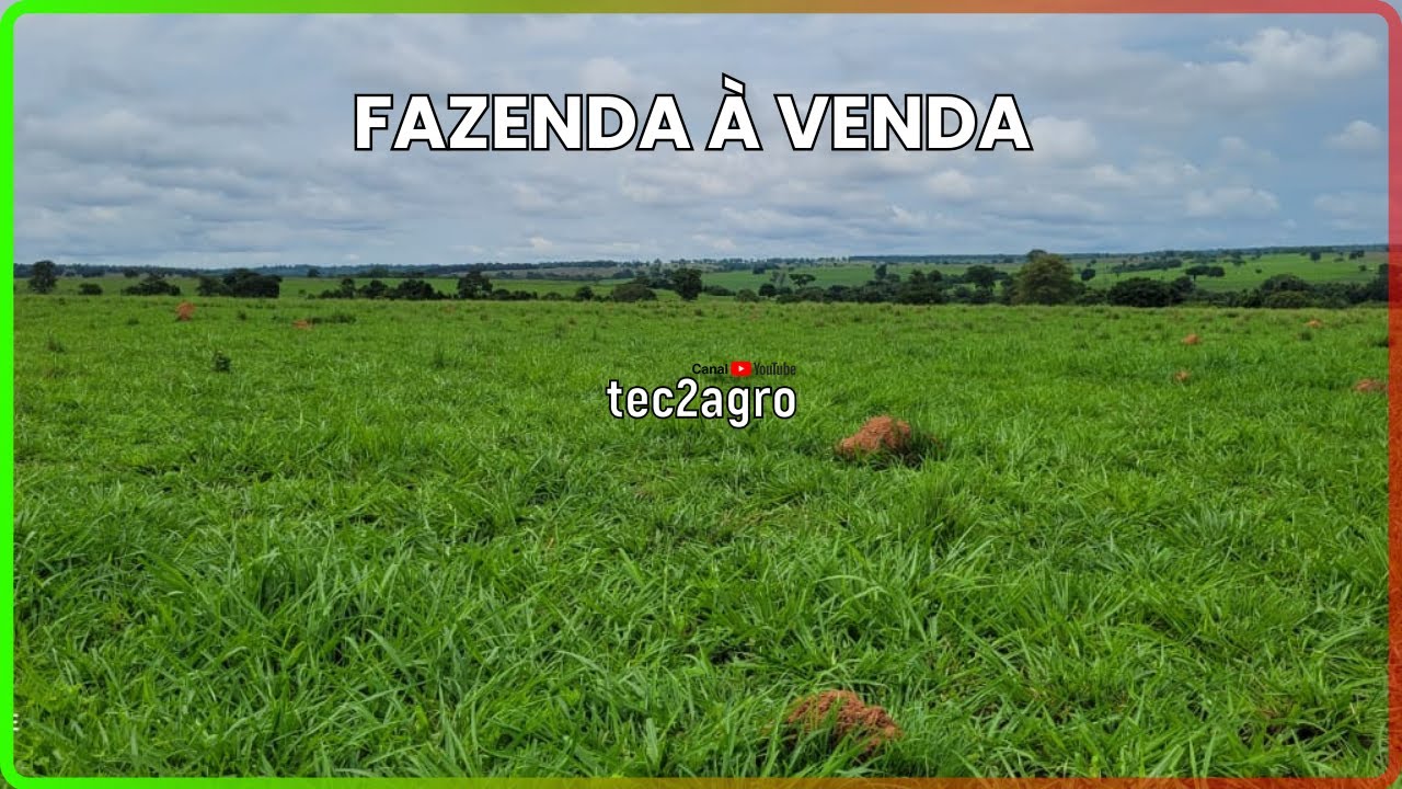 🌱 399 ALQ SÃO MIGUEL DO ARAGUAIA - FAZENDA À VENDA EM GOIÁS [DUPLA APTIDÃO] 
