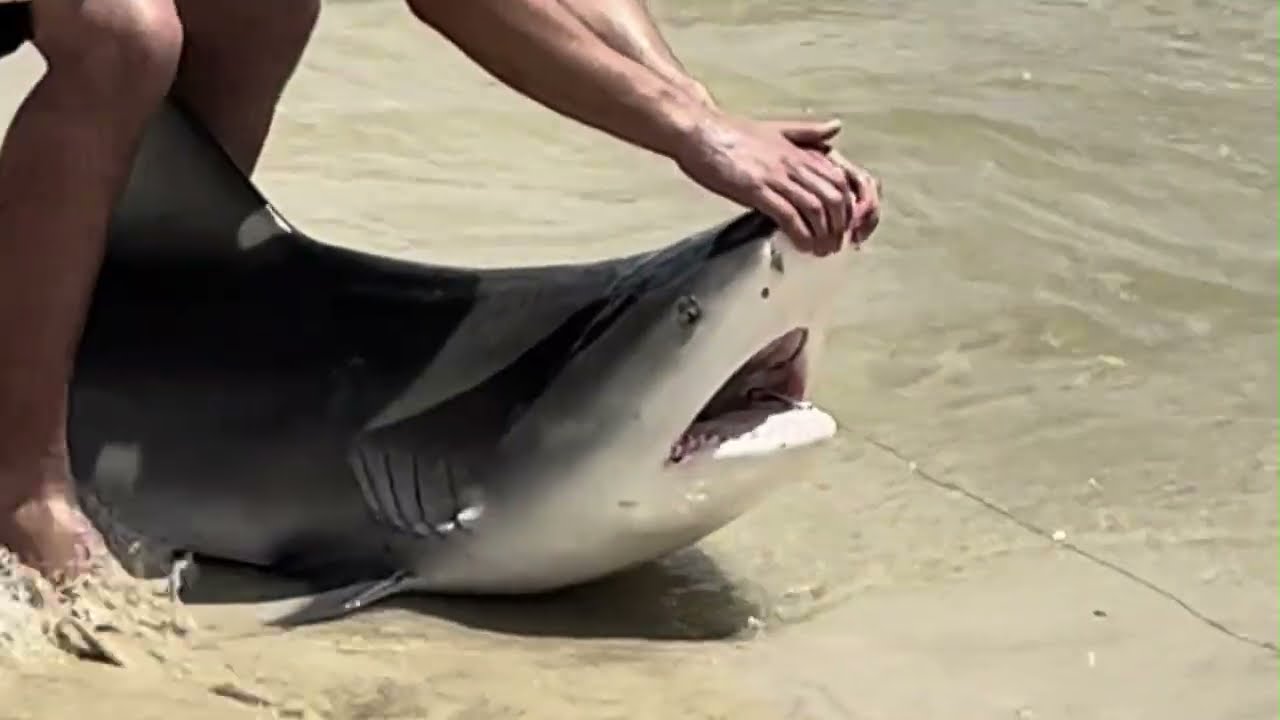 What is Wrong with St George Island State Park and Beach! RV Travelers!
