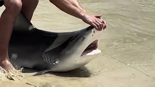 What is Wrong with St George Island State Park and Beach! RV Travelers!