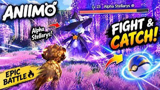 ANIIMO – I Found Alpha Stellarys and Took It Down! 🔥