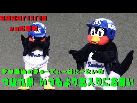 つば九郎　いつもより念入りにハニーフラッシュ！　今年最後のきゅーてぃーはにーたいむ　2020/11/10　vs広島