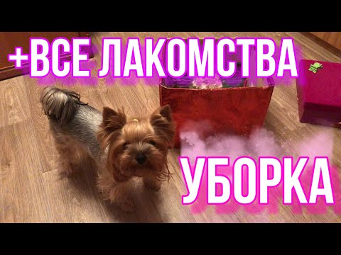 Уборка в ящике из под лакомств +все лакомства моей собаки