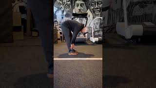 Elephant Walk
