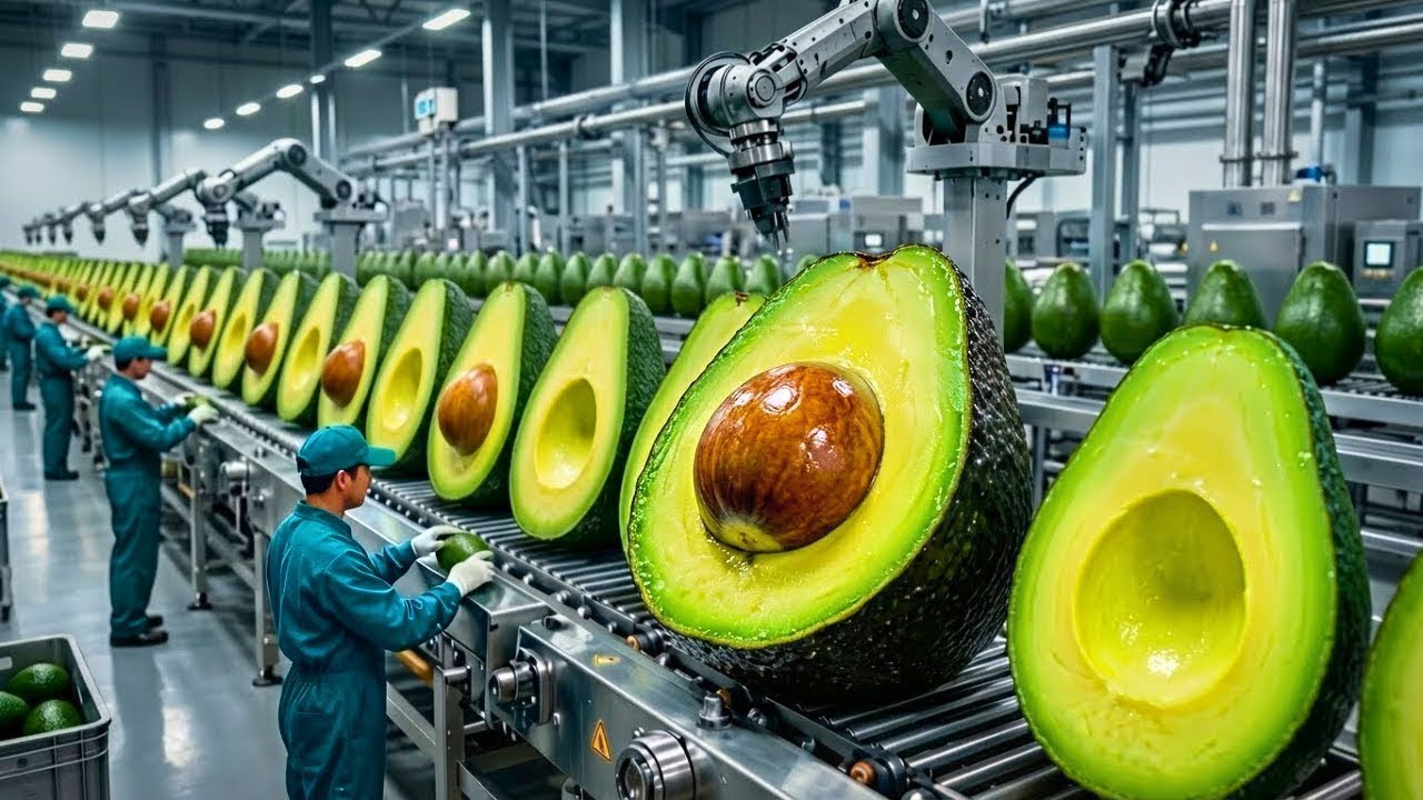 Inside the Avocado Factory 🥑 | From Fruit to Paste