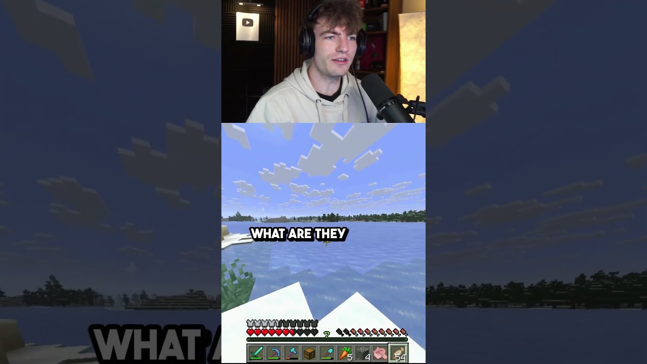 SAY THIS when you see a Polar Bear in Minecraft...