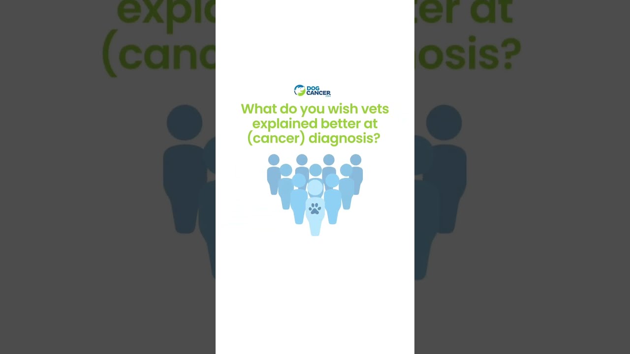 What do you wish your vet had explained better when your dog was first diagnosed with cancer?