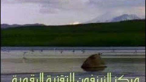 قراءة جميلة للشيخ عبدالولي الأركاني سورة الإسراء Quran