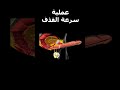 سرعة القذف عند الرجال نجومي