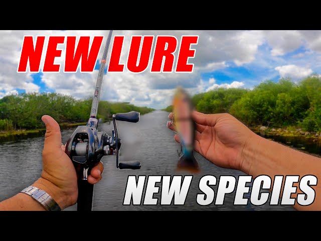 New LURE New SPECIES CHALLENGE! 