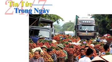 Xe vải thiều ngập chợ ven quốc lộ, ùn tắc kéo dài - Tin Tức Trong Ngày