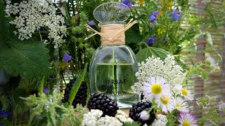 HERBAE by L'Occitane en Provence (2019) - fragrance review