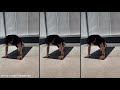 D.C. United At Home Day 5: Stretching with Felipe Martins