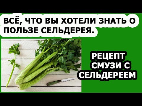 Польза сельдерея. Рецепт смузи из сельдерея