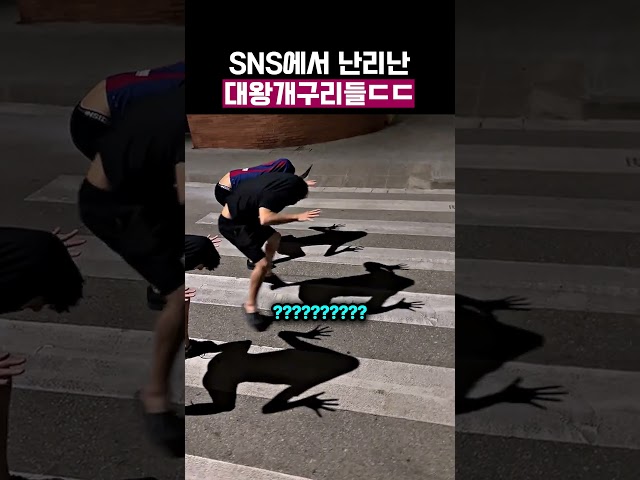 길거리에 나타난 대왕개구리들 ㄷㄷ