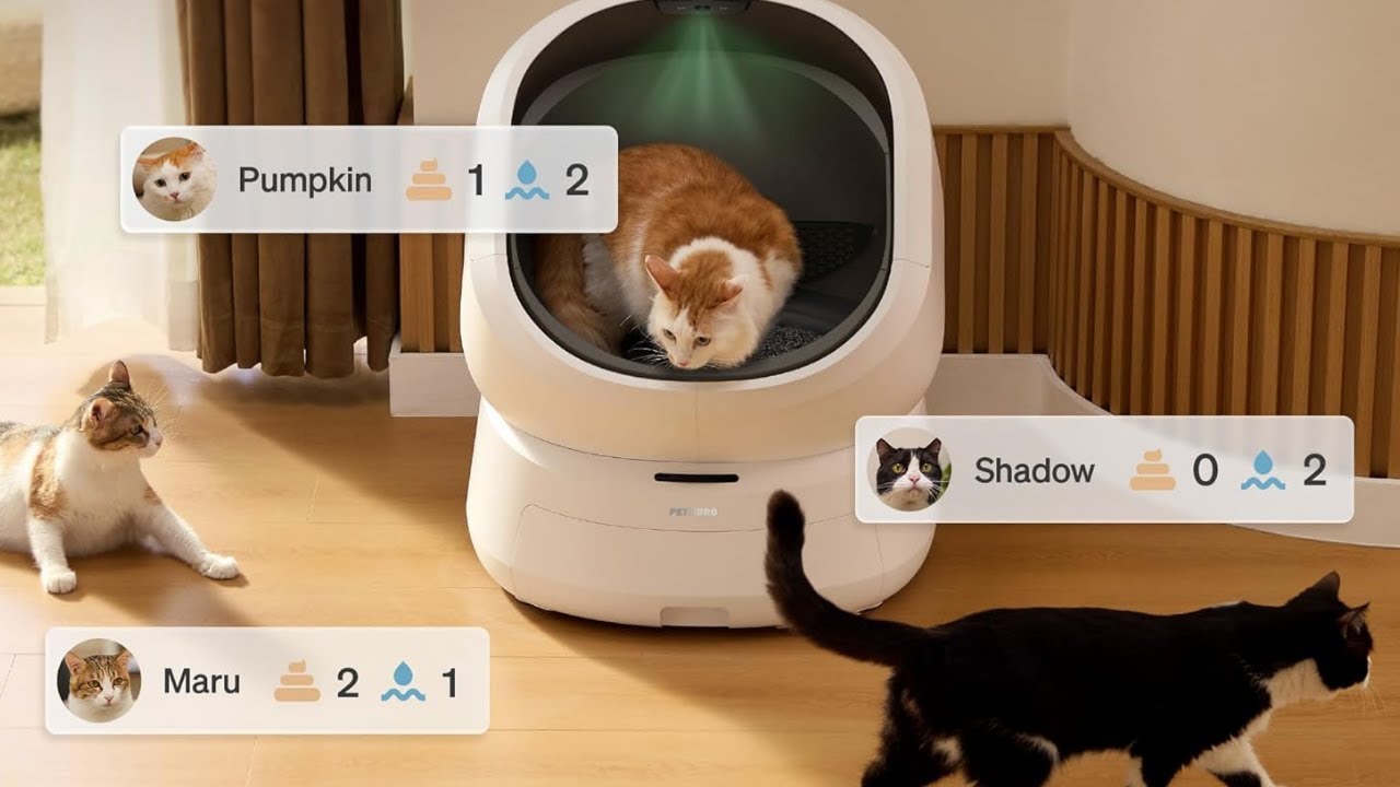 PETLIBRO Luma AI Cat Litter Box 🧠🐱 | Smart Self-Cleaning with Safety & Odor Control!