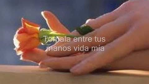 La Rondalla de Saltillo (Dejare una flor)