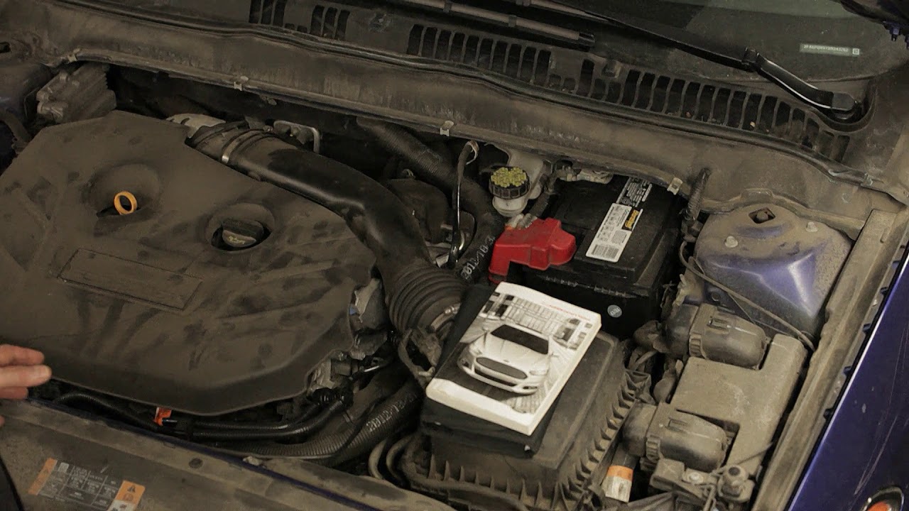 How to Check your Vehicle's Fluids