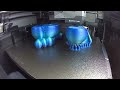 Huge sized Nerd holder for nerds time lapse