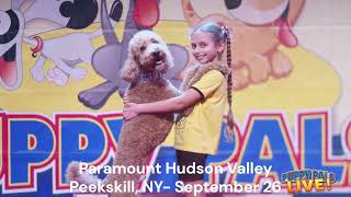 Puppy Pals Live- The Action-Packed Comedic Stunt Dog Show