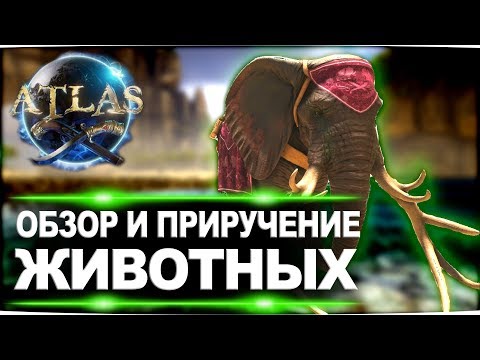 Видео: Все о приручении и краткий обзор всех животных в игре Atlas (Атлас)