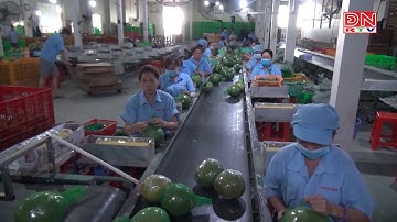 OCOP tạo thêm sức bật cho nông nghiệp, nông thôn