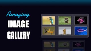 Create Stunning Image Gallery with HTML, CSS & JavaScript