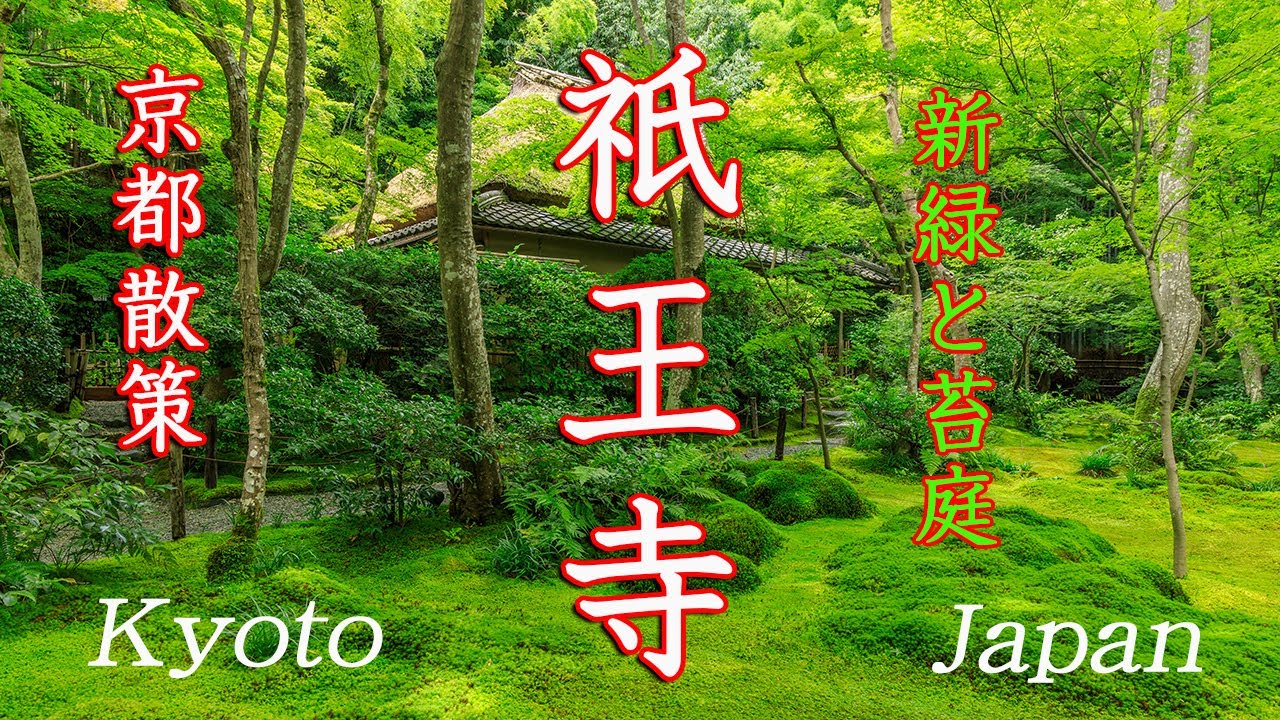 京都散策] 祇王寺 新緑と苔庭 青もみじ kyoto japan 4K - YouTube
