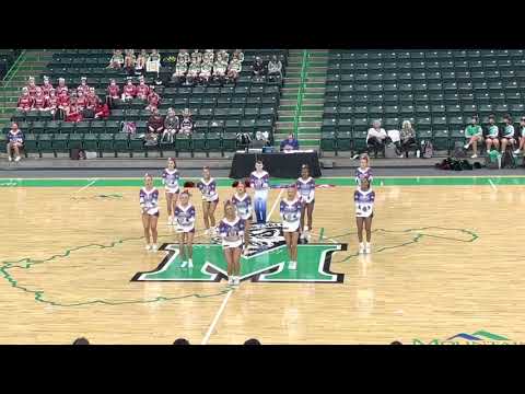 Wheeling Park High School - AAA - State Cheerleading Competition 2020