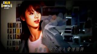 welat silopi  Tı Jı Mın Duri