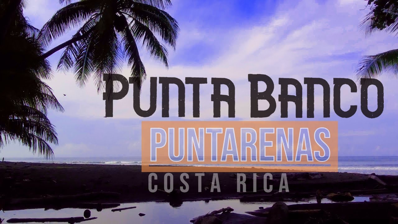 Camping en Playa Punta Banco, Puntarenas Zona Sur Costa Rica. 🏝️