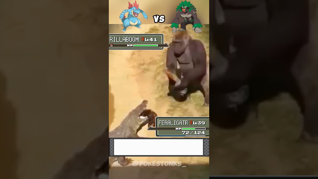 Feraligatr 🐊 vs Rillaboom 🦍 irl 